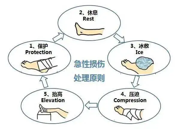 哪里有针对业余爱好者的篮球训练策略_0